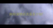 南阳宠物店洗澡多少钱