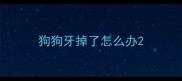 狗狗牙掉了怎么办