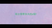 哈士奇带多大的p链