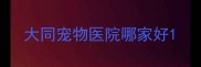 大同宠物医院哪家好