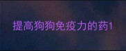 提高狗狗免疫力的药