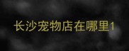 长沙宠物店在哪里