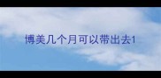 博美几个月可以带出去