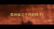 雪纳瑞三个月的样子