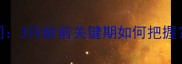 金毛犬训练最佳时间3月龄前关键期如何把握附幼犬训练全攻略