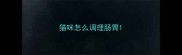 猫咪怎么调理肠胃