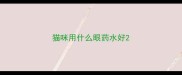 猫咪用什么眼药水好