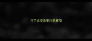 打了犬疫苗要注意事项