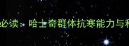 宠物冬季养护必读哈士奇群体抗寒能力与科学保命指南