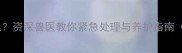 两个月泰迪犬呕吐不止资深兽医教你紧急处理与养护指南附症状与预防措施
