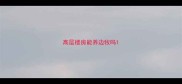 高层楼房能养边牧吗