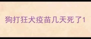 狗打狂犬疫苗几天死了