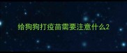 给狗狗打疫苗需要注意什么