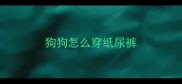 狗狗怎么穿纸尿裤