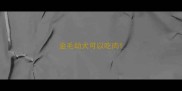 金毛幼犬可以吃肉