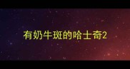 有奶牛斑的哈士奇