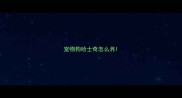 宠物狗哈士奇怎么养