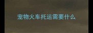 宠物火车托运需要什么