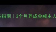 边牧智商天花板训练指南3个月养成会喊主人名字的聪明小边牧