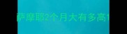 萨摩耶2个月大有多高