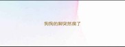 狗狗的脚突然瘸了