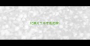 比熊几个月才能洗澡