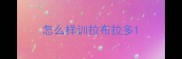 怎么样训拉布拉多