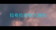 拉布拉多多久消化