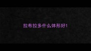 拉布拉多什么体形好