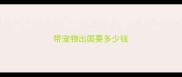 带宠物出国要多少钱