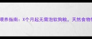 泰迪幼犬科学喂养指南X个月起无需泡软狗粮天然食物替代方案详解