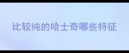 比较纯的哈士奇哪些特征