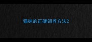 猫咪的正确饲养方法