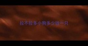 拉不拉多小狗多少钱一只
