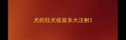 犬的狂犬疫苗多大注射