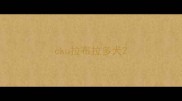 cku拉布拉多犬