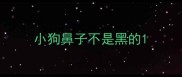小狗鼻子不是黑的