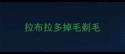 拉布拉多掉毛剃毛