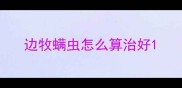 边牧螨虫怎么算治好