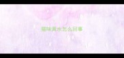 猫咪黄水怎么回事