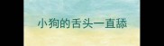 小狗的舌头一直舔