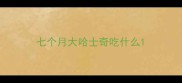 七个月大哈士奇吃什么