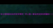 哈士奇到家后如何科学喂养早上第一餐这样安排效果翻倍