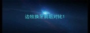 边牧换牙前后对比