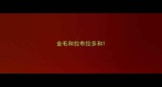 金毛和拉布拉多和
