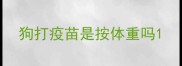 狗打疫苗是按体重吗