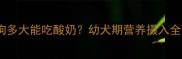 科学喂养指南小狗多大能吃酸奶幼犬期营养摄入全附权威建议