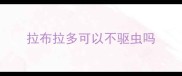 拉布拉多可以不驱虫吗