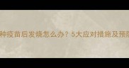 狗狗接种疫苗后发烧怎么办5大应对措施及预防指南
