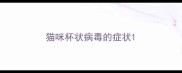 猫咪杯状病毒的症状